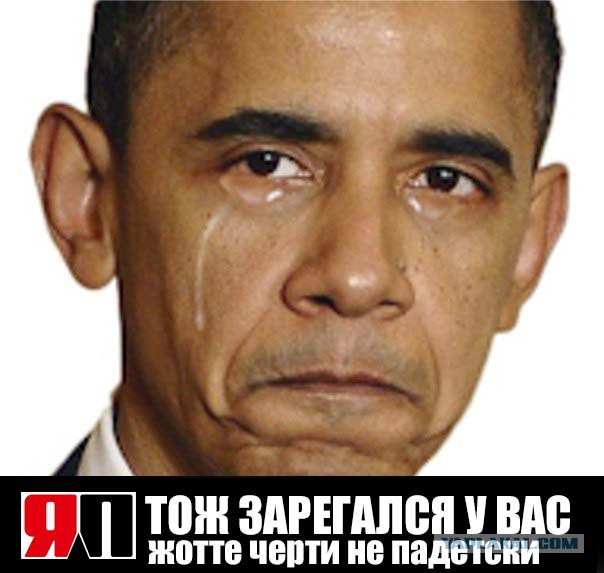 ЯП в Вести недели