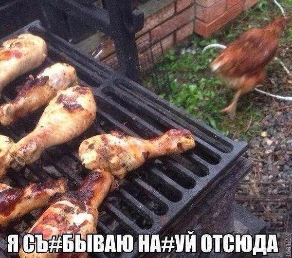 Приколы из сети на 18.05.2015