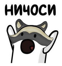 Еноты, вперёд!