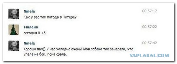 Смешные комментарии из социальных сетей