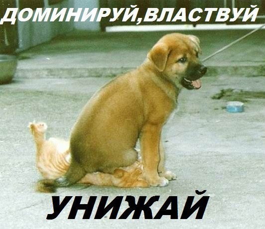 Когда вы минусуете уже заминусованного