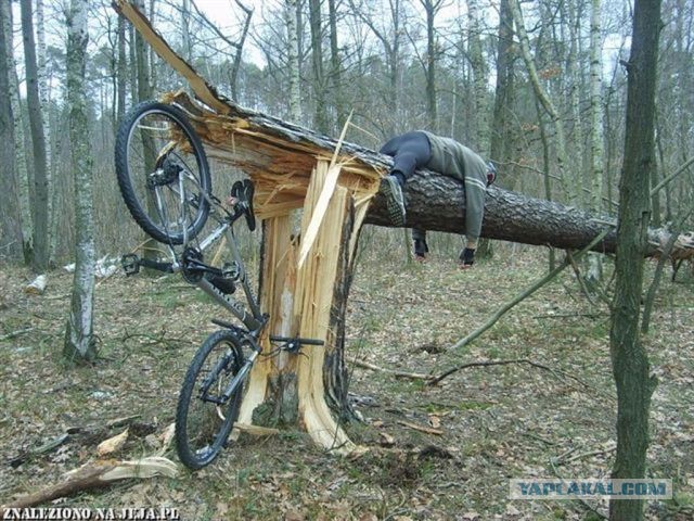 "Я буду долго гнать велосипед..."