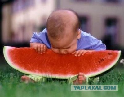 Гениальный нож для арбуза