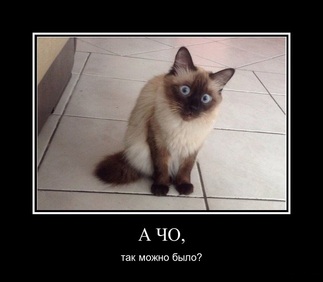 Дагестанская стиральная машина "Хучни"