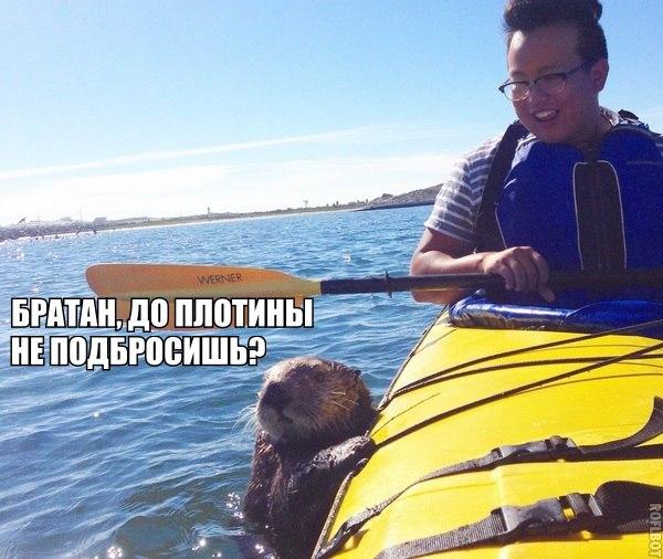 Картинки с надписями