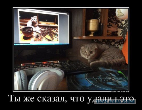 Подборка прикольных фото на пятницу