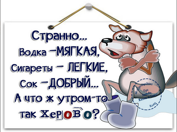 Семь продуктов, которыми нельзя закусывать