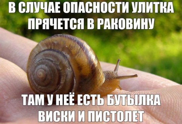 Подборка прикольных картинок