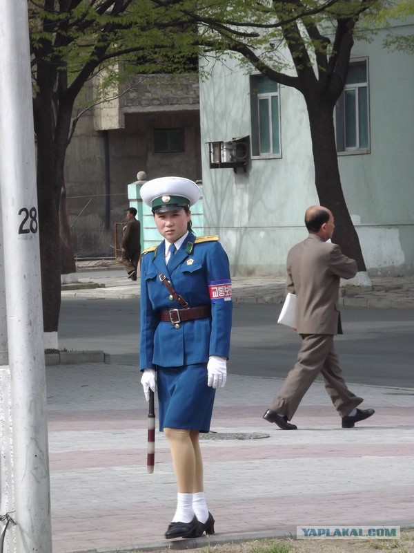Няшная КНДР