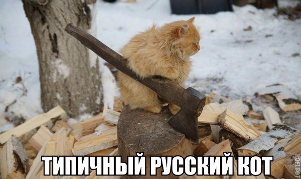 Мохнатые беспредельщики