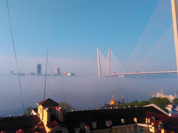 Подборка интересных и веселых фото