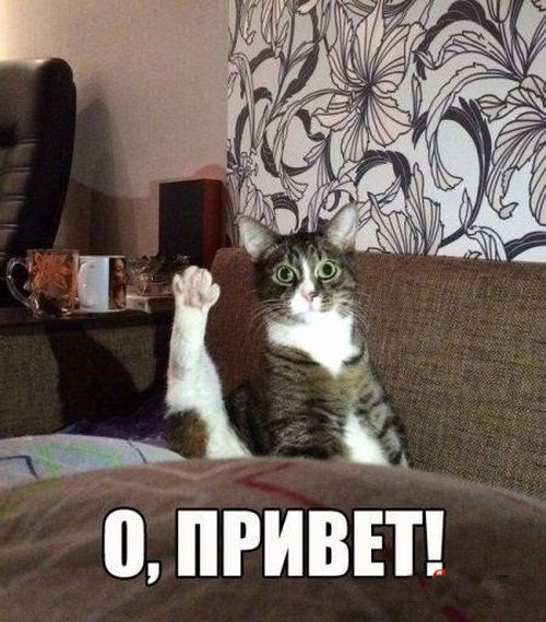 Подборка интересных и веселых картинок