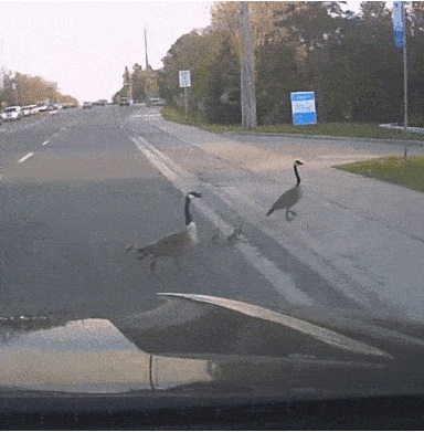 Она же только хотела помочь!