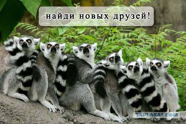 Картинки на пятницу