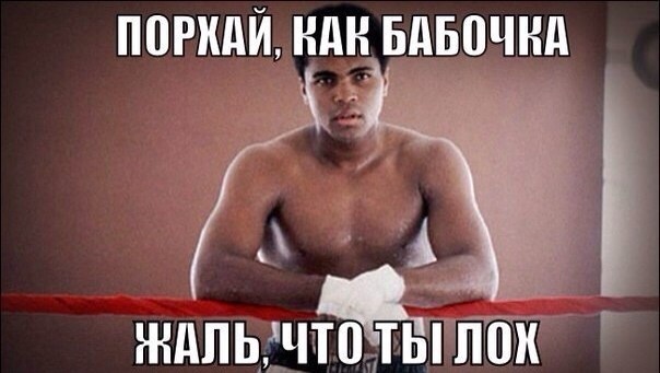 Мои личные наблюдения