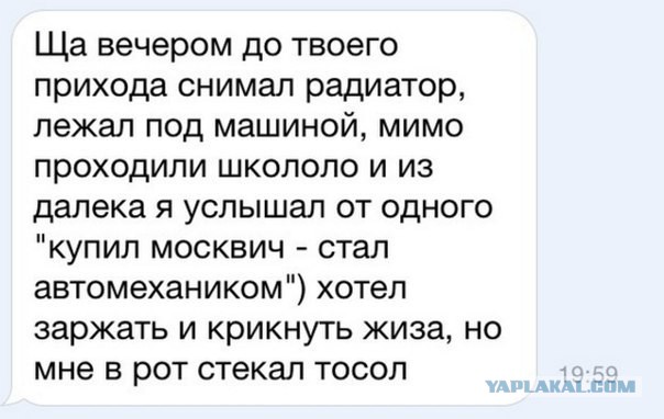 Ужасы и приколы из соцсетей 18+