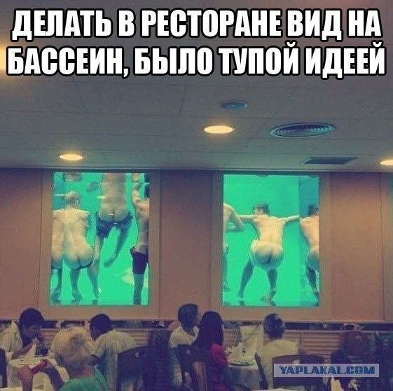 Смотри приколы и тупей