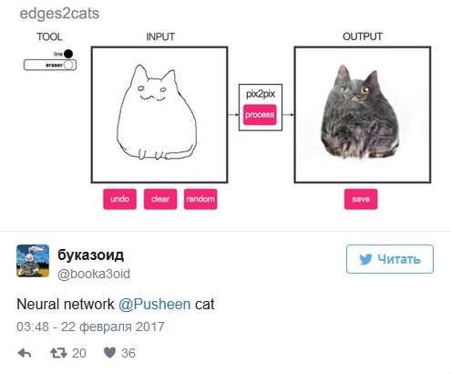 Коты, которых вы бы не хотели увидеть у себя дома