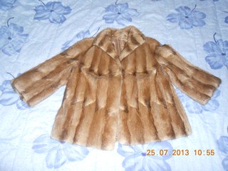 Про белок и искусство