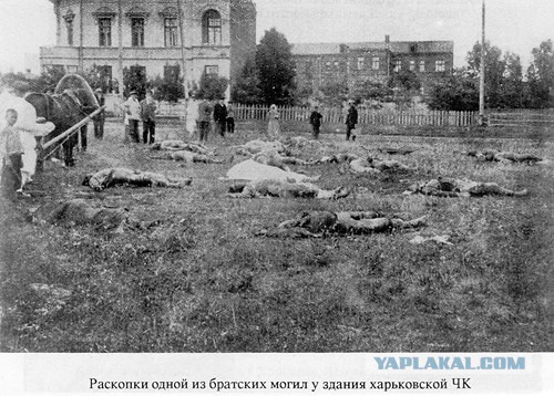Белого террора не было!