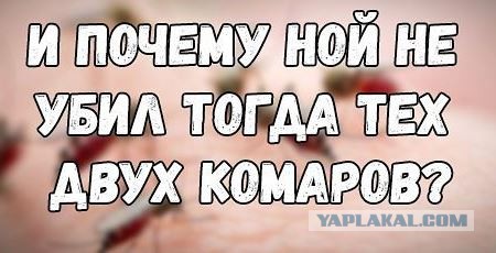 Самые надоедливые насекомые на Земле