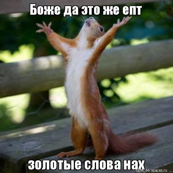 Когда у бабы свистит фляжка...