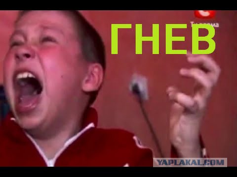 Как в Мексике жены разговаривают с мужем и его собутыльниками