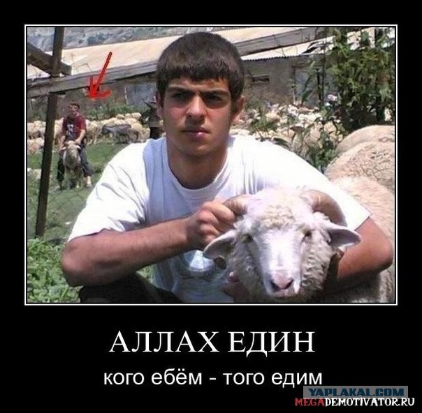 В Чечне геев нет, но есть пидо**сты