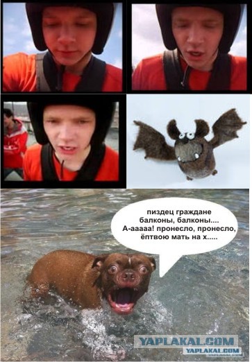 Жабельный собакен