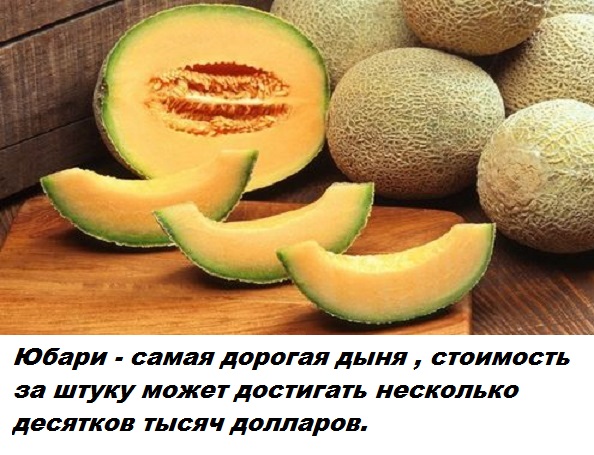 Подборка бесполезных фактов.