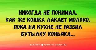 Всем хорошей пятницы!