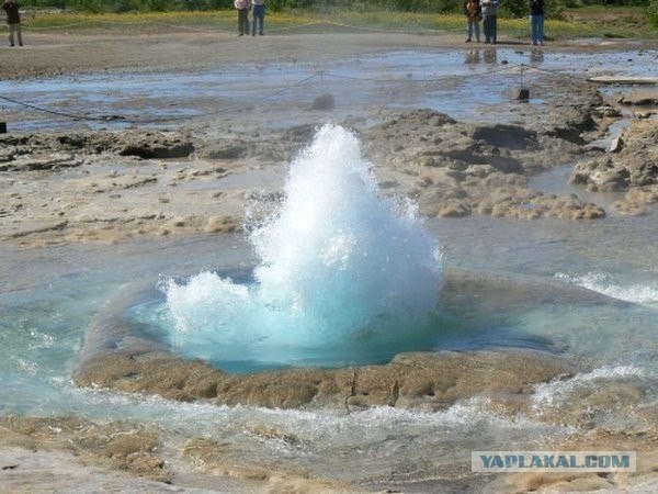 Гейзер шоу тайм (10 фото)