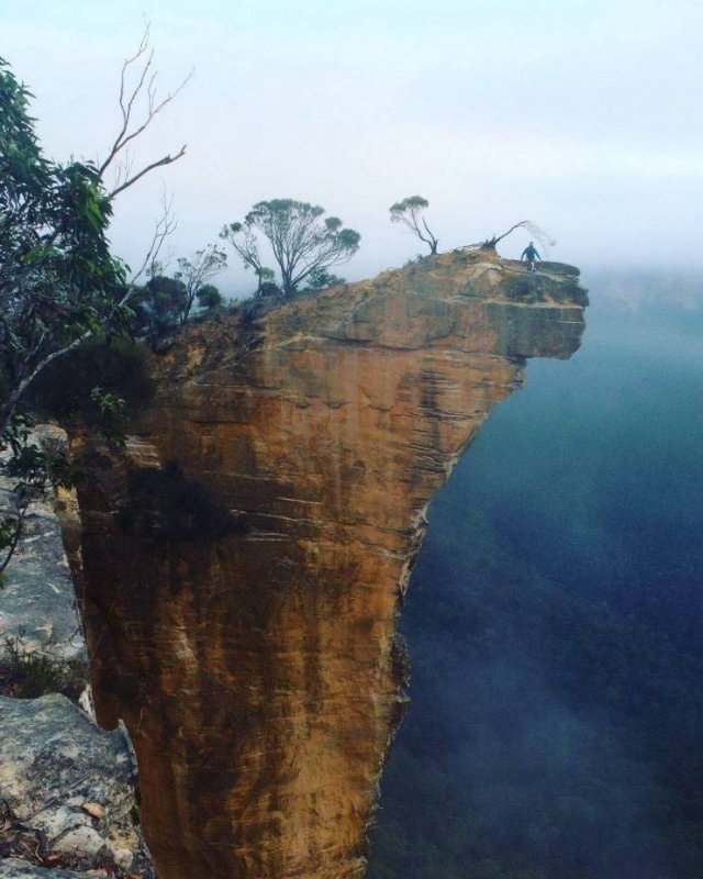 Набор разных картинок 17/10