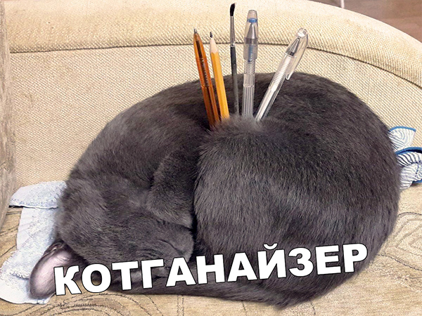 Немного картинок для настроения 18.10.19