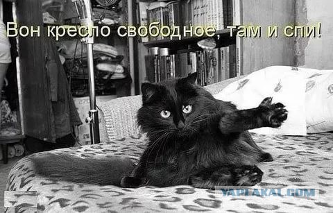В Италии открываются приюты для разведенных мужчин