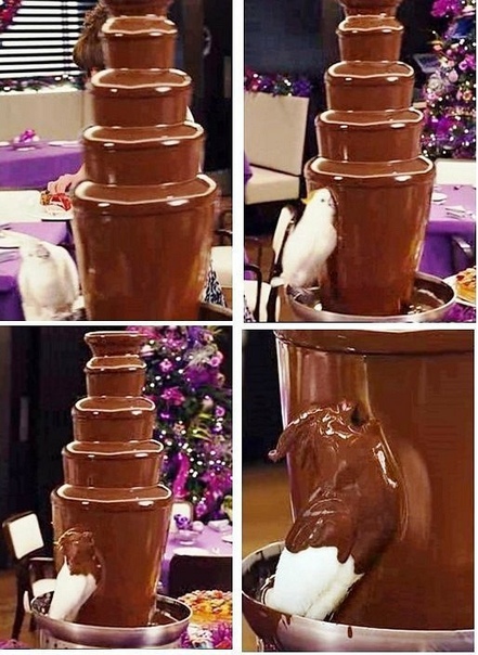 Бредзона