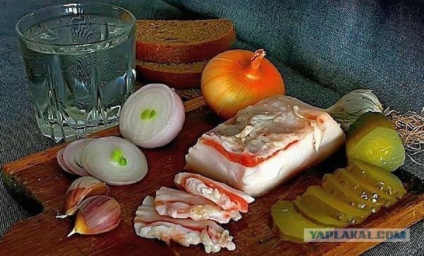 Почему Коран запрещает мусульманам есть свинину?