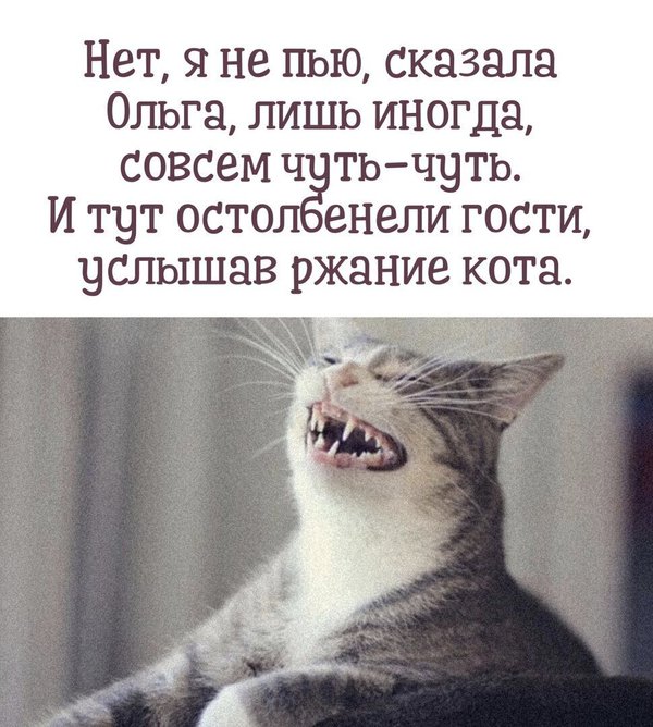 Бредзона 25.05.2020