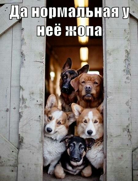 Модели бывают разные