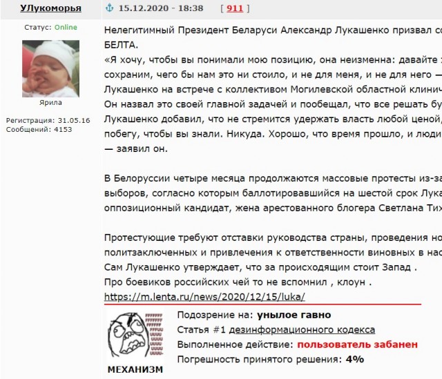 Житель Минска заявил в милицию на собственных детей из-за бело-красно-белых штор.