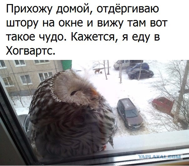 Картинки с надписями и всякие жизненные фразы 10.1.21