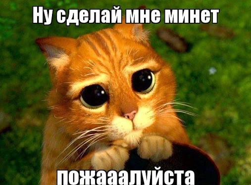 Всемирный день минета