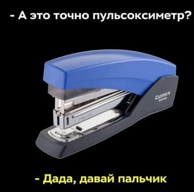 Весёлый полтишок 15.08