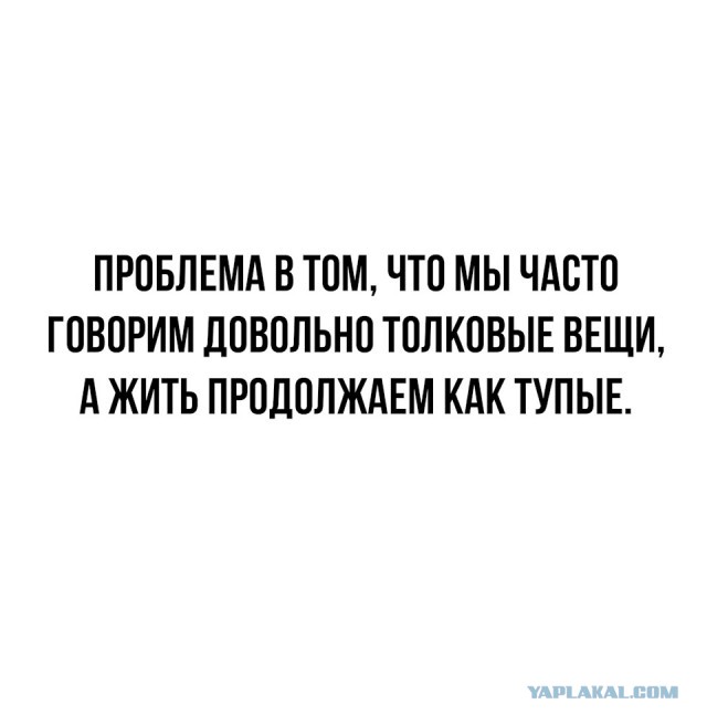 Весёлый полтишок 09.10