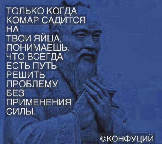 Всяческие картинки 17.11.2021