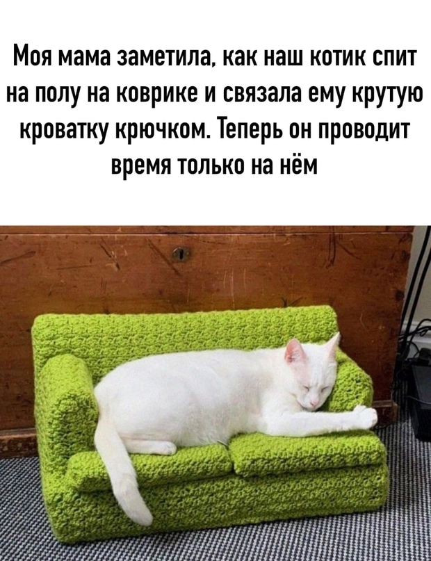 Картинки для поднятия настроения