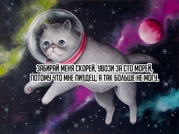 Прикольные и просто красивые картинки 28.03.2022