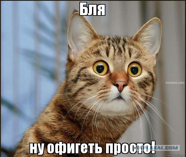 Пять основных точек