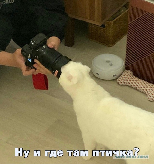 Картинки с надписями и всякие жизненные фразы