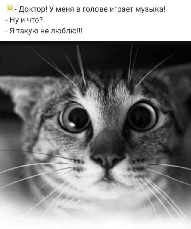 Картинки и мемы для настроения - 14